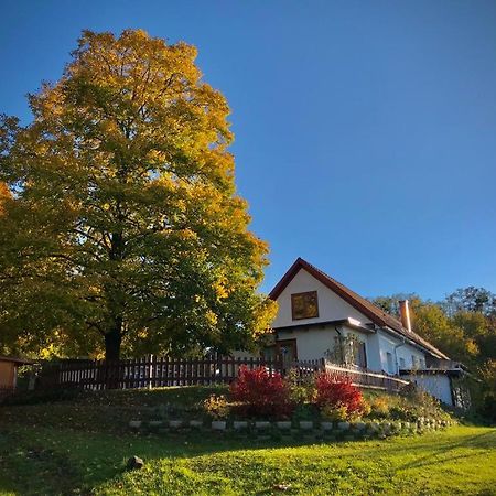 Ferienhaus Koller 구싱 외부 사진