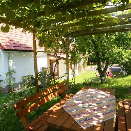 Ferienhaus Koller 구싱 외부 사진