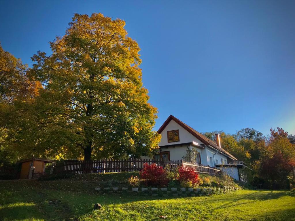 Ferienhaus Koller 구싱 외부 사진