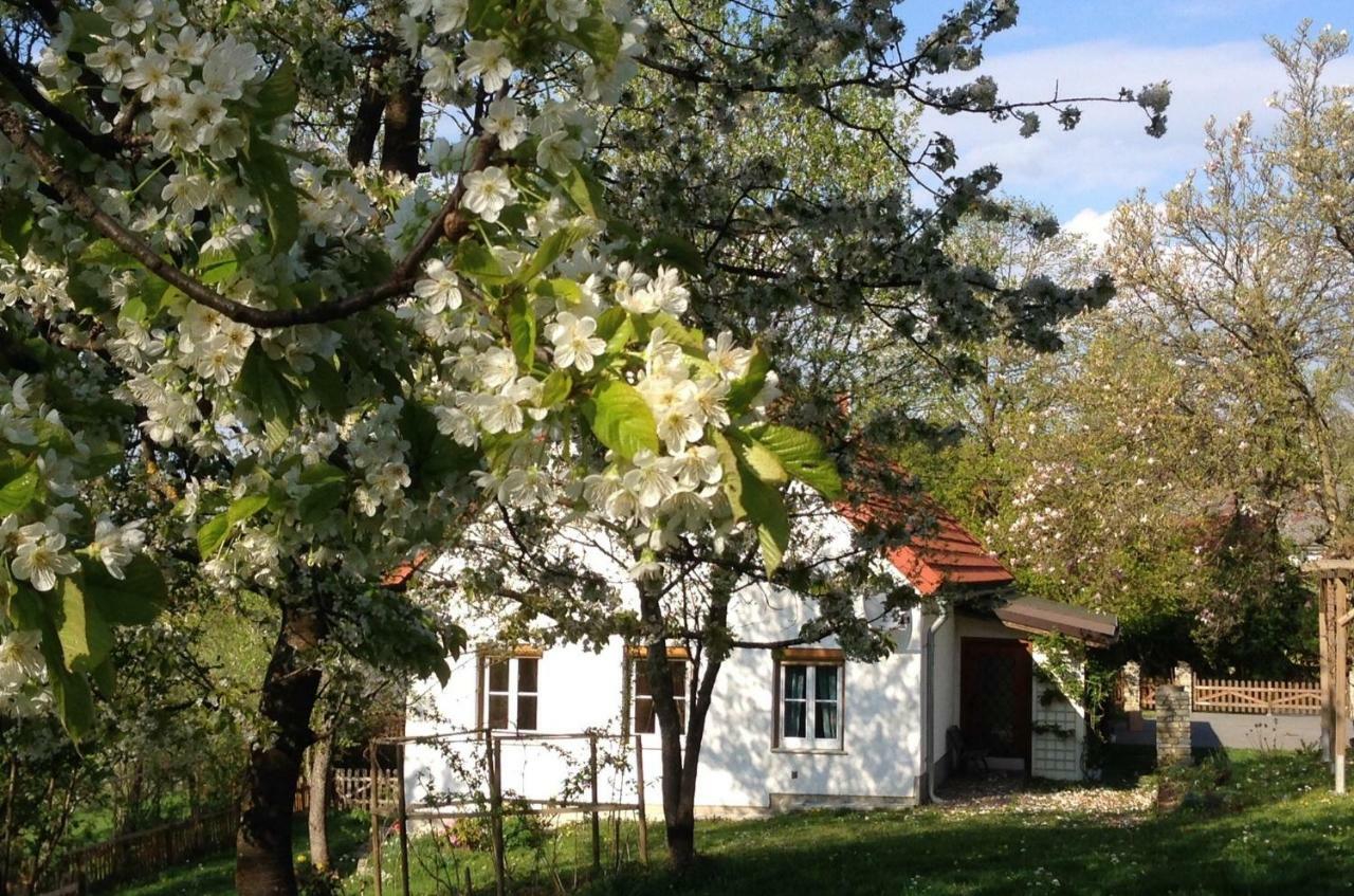 Ferienhaus Koller 구싱 외부 사진
